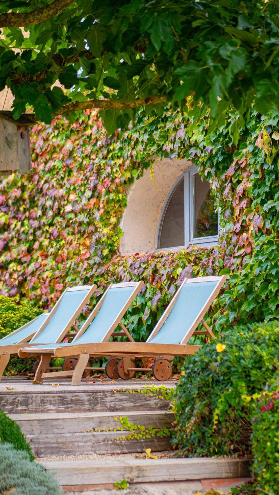 Bed and Breakfast Propriete Le Monneton Sainte-Christie Exterior foto