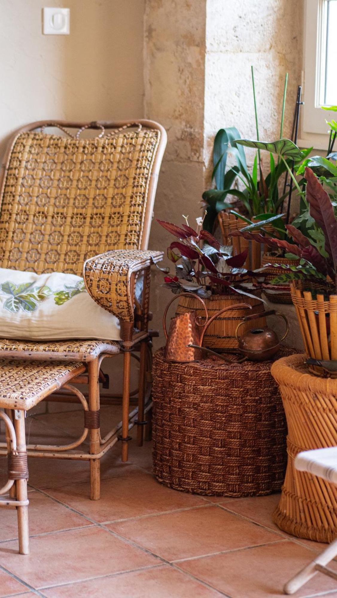 Bed and Breakfast Propriete Le Monneton Sainte-Christie Exterior foto